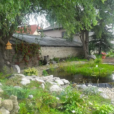 Gasthof Tok-asz Vendeghaz Belapatfalva