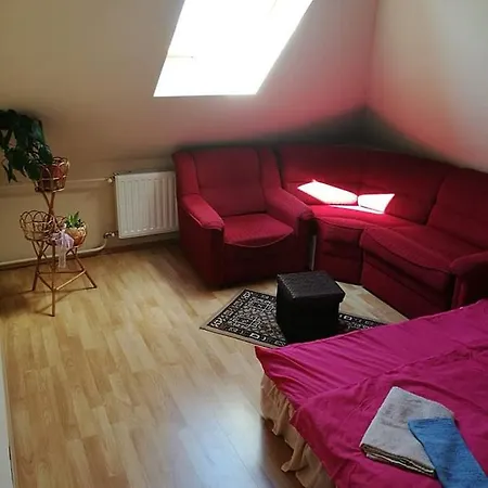 Tok-asz Vendeghaz Gasthof *
